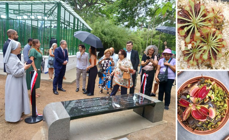 banner carnivoras.jpg