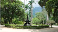 Jardim Botânico do Rio volta a abrir às quartas-feiras