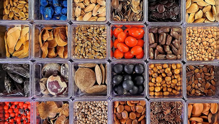 banner index seminum 2024-2025