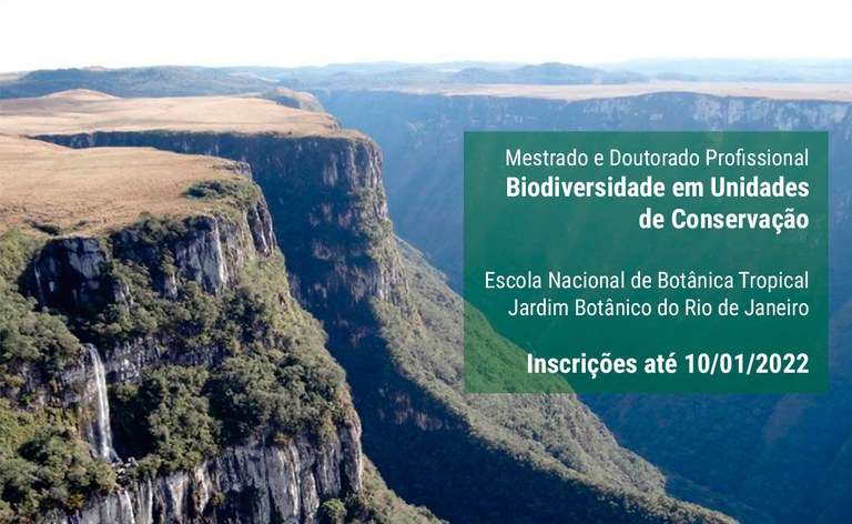 Mestrado Doutorado arte