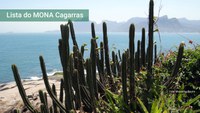 Lista da flora do MONA Cagarras publicada no Catálogo de Plantas das UCs do Brasil