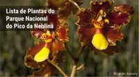 Lista do PARNA Pico da Neblina integra Catálogo de Plantas das UCs