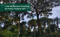 Lista do Parque Estadual de Porto Ferreira (SP) está no Catálogo de Plantas das UCs do Brasil