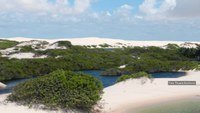Lista do Parque Nacional dos Lençóis Maranhenses publicada no Catálogo de Plantas das UCs do Brasil
