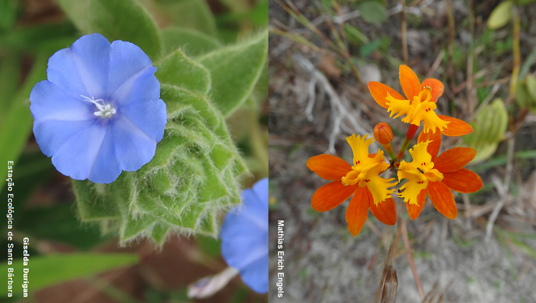 banner das listas para o site - v1.png