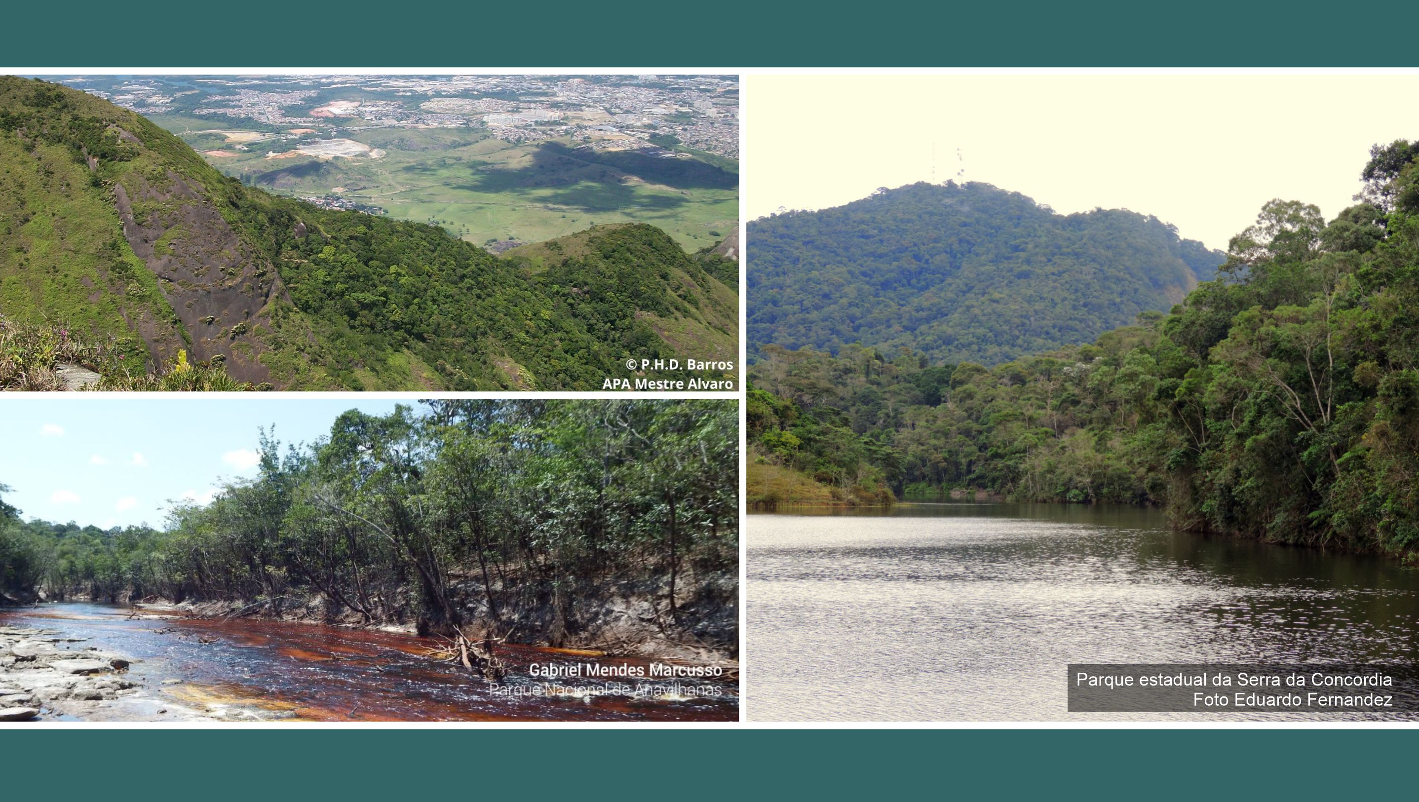 Listas do Parque Estadual da Serra da Concórdia, da Área de Proteção Ambiental Mestre Álvaro e  do Parque Nacional de Anavilhanas são publicadas no Catálogo de Plantas das UCs do Brasil