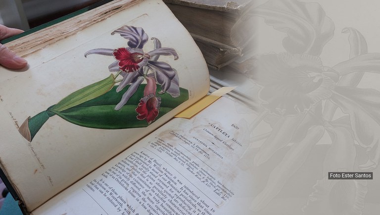 banner recortes de memória.jpg