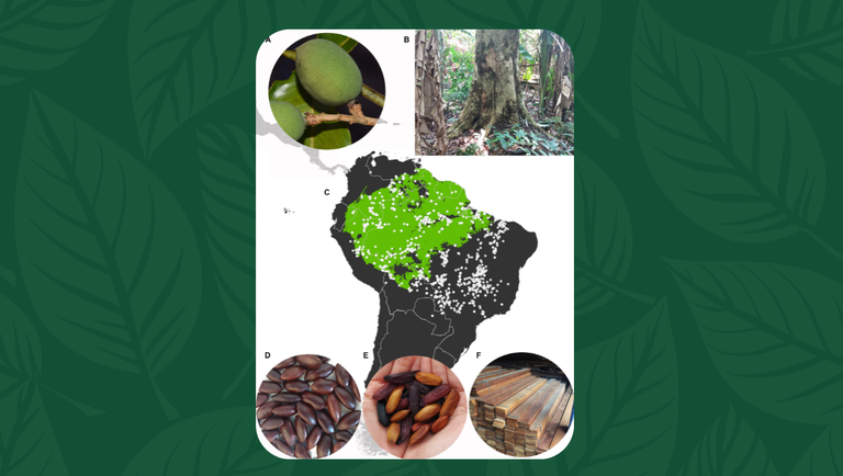 banner mudanças climaticas afetam especies