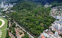 No Dia de Proteção às Florestas, Jardim Botânico do Rio retoma programa de apoio a jardins botânicos nesta sexta-feira (16/7)