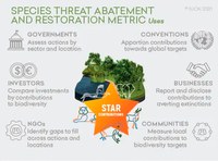 Nova ferramenta oferece esperança na luta contra a extinção de plantas