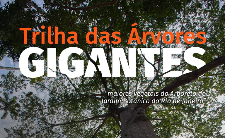 banner_trilha gigantes.jpg