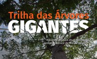 Nova trilha será lançada em comemoração do Dia da Árvore no Jardim Botânico