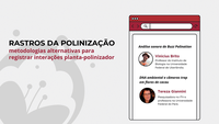 Novas formas de pesquisar a polinização são tema de estreia do Bate Papo INPol