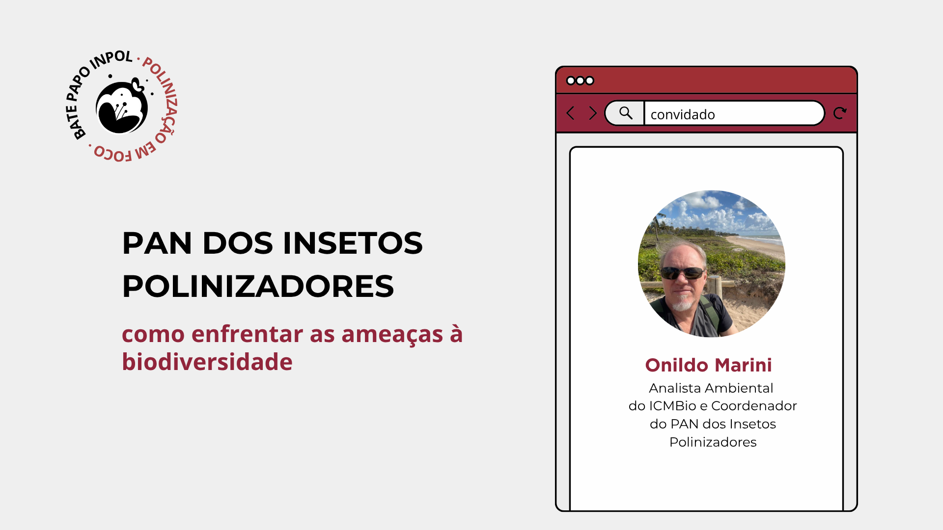 Novo episódio do Bate-Papo InPol entrevista Onildo Marini sobre o PAN dos Insetos Polinizadores