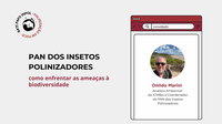 Novo episódio do Bate-Papo InPol entrevista Onildo Marini sobre o PAN dos Insetos Polinizadores