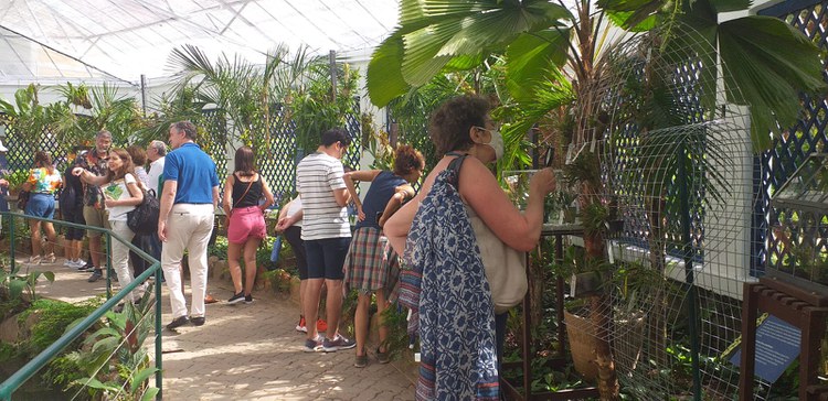Reabertura do orquidário_lupa_Tânia Lazzoli.jpg
