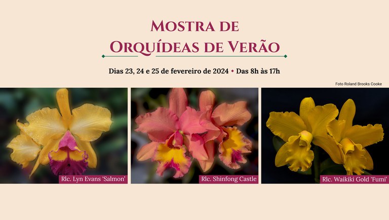 banner site orquidea.jpg