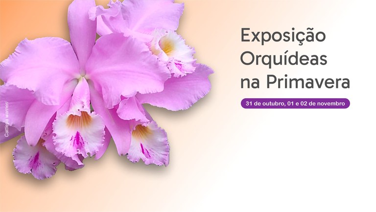 banner Orquídeas na Primavera 2025