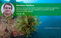 Palestra em 20/9 abordará ambiente marinho e seus organismos fotossintetizantes