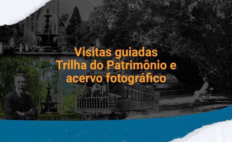 banner_trilha_patrimonio_acervo_fotografico.jpg