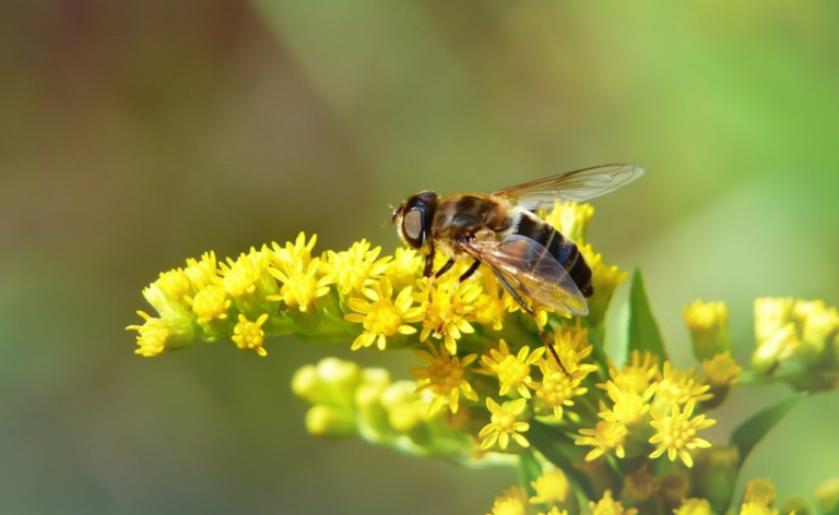 FOTO KRZYSZTOP NIEWOLNY - UNISPLASH.jpg