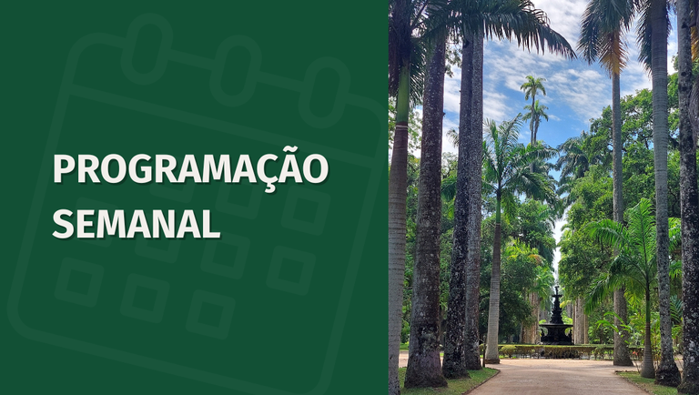 banner funcionamento e programação