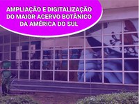 Projeto de ampliação das coleções biológicas do JBRJ ganha vídeo no YouTube