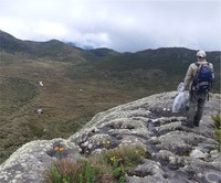 Projeto "Redescobrindo espécies ameaçadas da Floresta Atlântica" lança vídeo