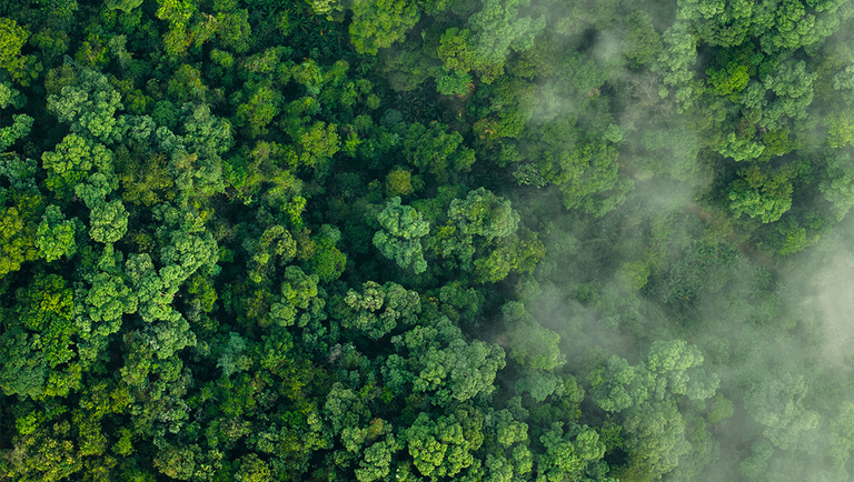 banner 10 new insights