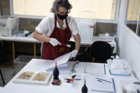 Restauração do acervo histórico fotográfico do Jardim Botânico do Rio de Janeiro revela preciosidades