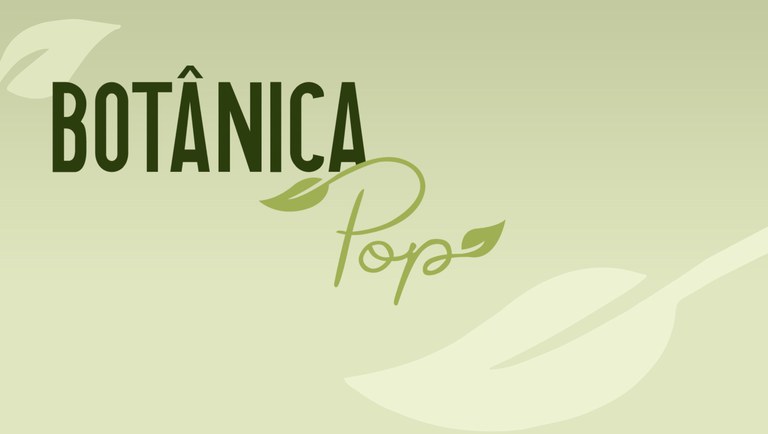 banner do Edital da capa Botânica Pop nº 5