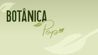Revista Botânica Pop faz seleção pública para ilustração da capa de sua 5º edição