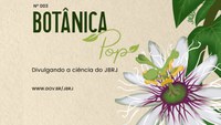Revista Botânica Pop nº 3 está online