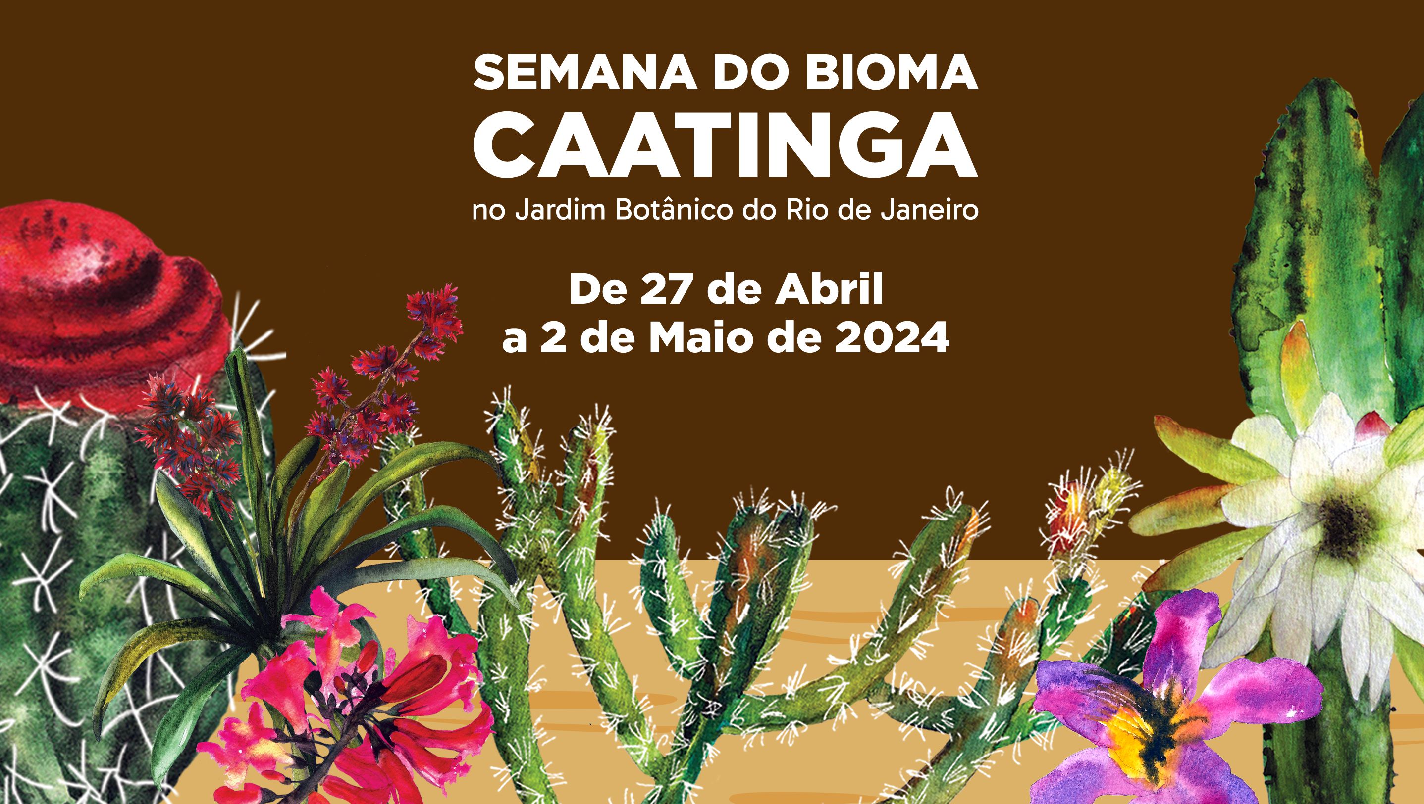 Semana da Caatinga no Jardim Botânico do Rio celebra a biodiversidade e a cultura do Nordeste