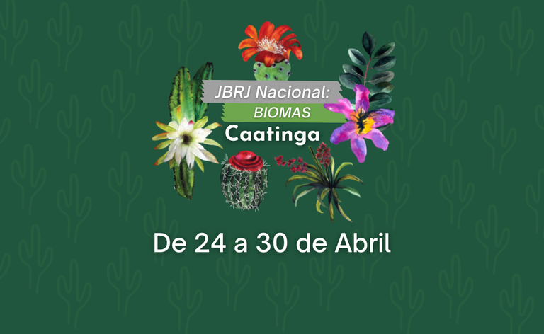 banner-site-caatinga.png