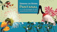 Confira as atividades da Semana do bioma Pantanal no Jardim Botânico do Rio