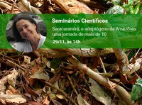 Seminário científico aborda a planta medicinal saracuramirá