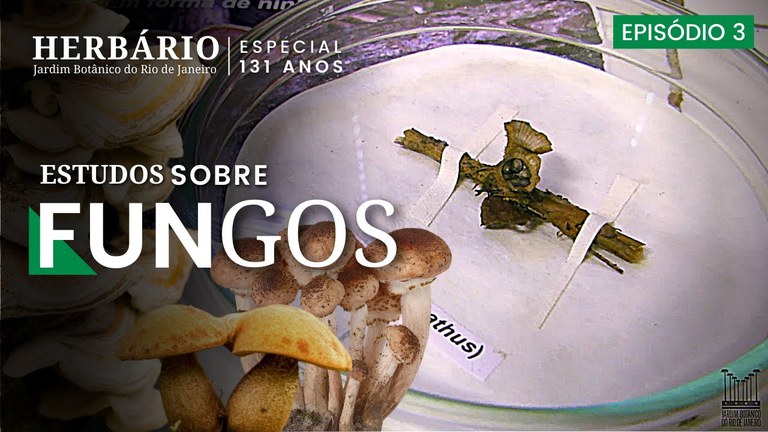 Casa dos Pilões.jpg