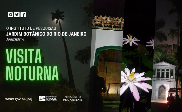 JARDIM BOTANICO DO RIO DE JANEIRO (3).png