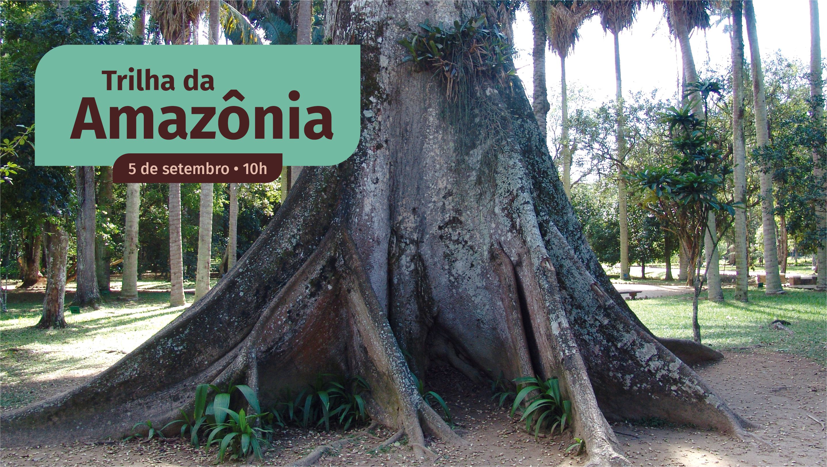 Trilha da Amazônia – sábado, 5 de setembro