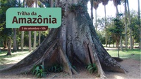 Trilha da Amazônia – sábado, 5 de setembro
