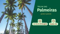 Trilha das Palmeiras em destaque no Jardim Botânico do Rio