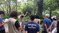 Trilha dos Jequitibás é novidade no Jardim Botânico do Rio de Janeiro