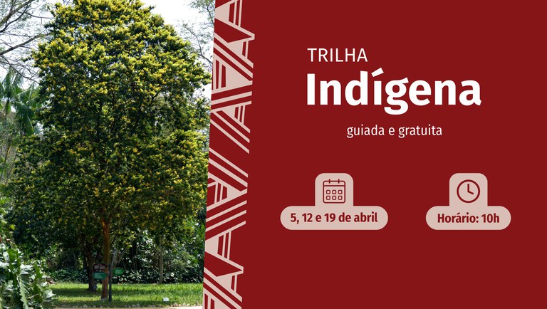 banner trilha indígena 2024.jpg