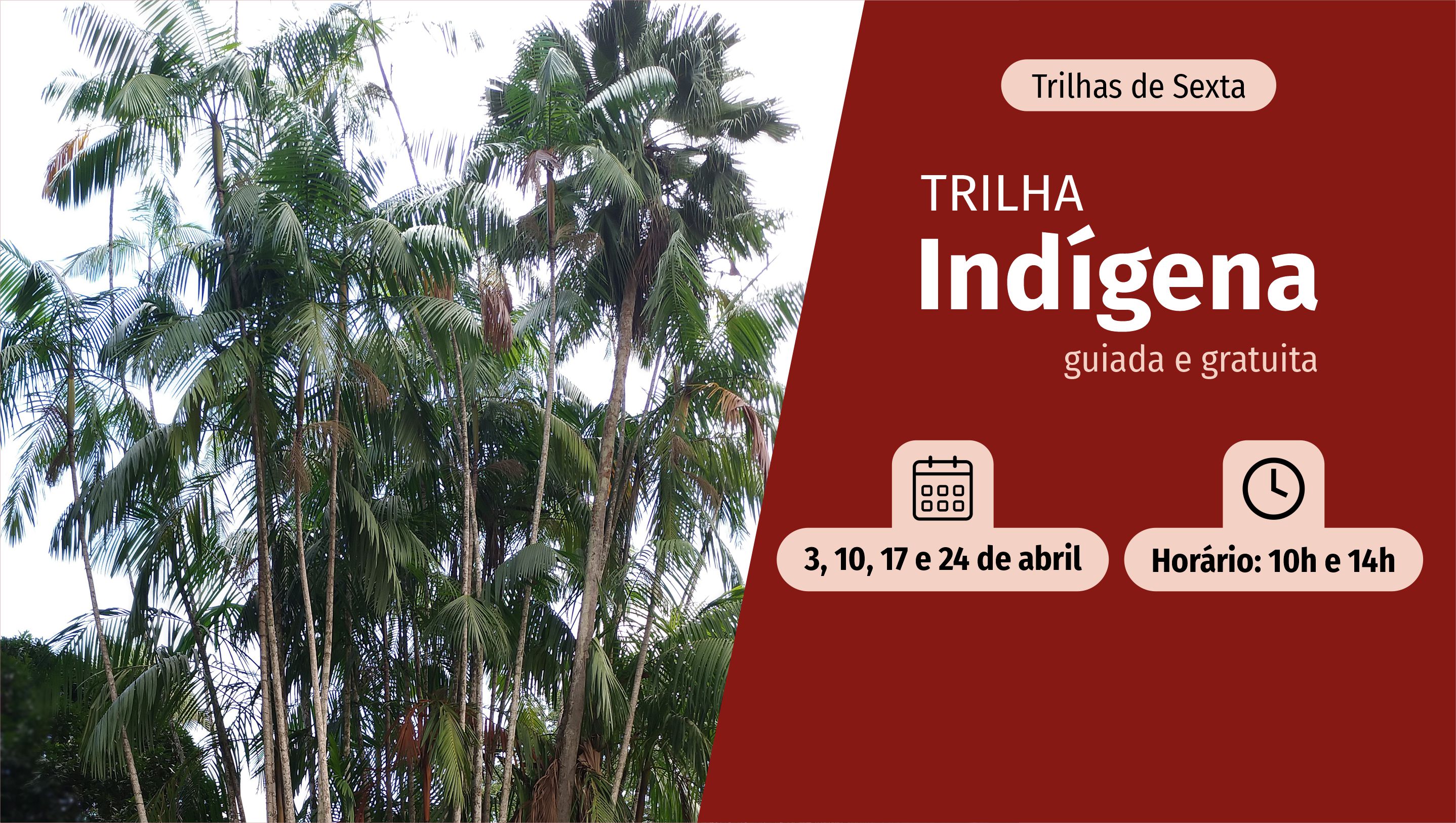 Trilha Indígena no Jardim Botânico do Rio promove valorização do conhecimento tradicional