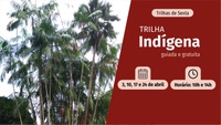 Trilha Indígena no Jardim Botânico do Rio promove valorização do conhecimento tradicional