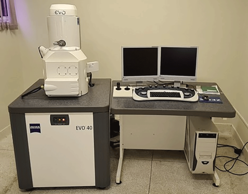 Microscocópio eletrônico de varredura do Laboratório de Botânica Estrutural