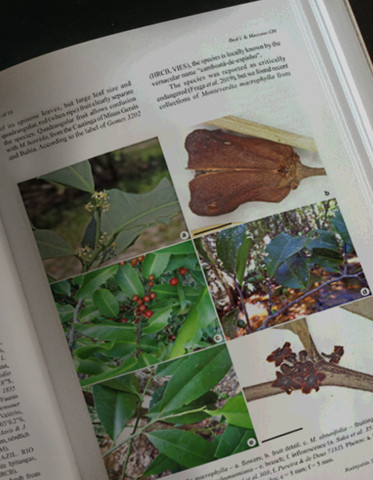 Saiba quais são os artigos mais citados e mais acessados