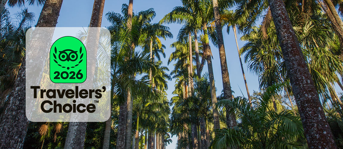 Link para tripadvisor