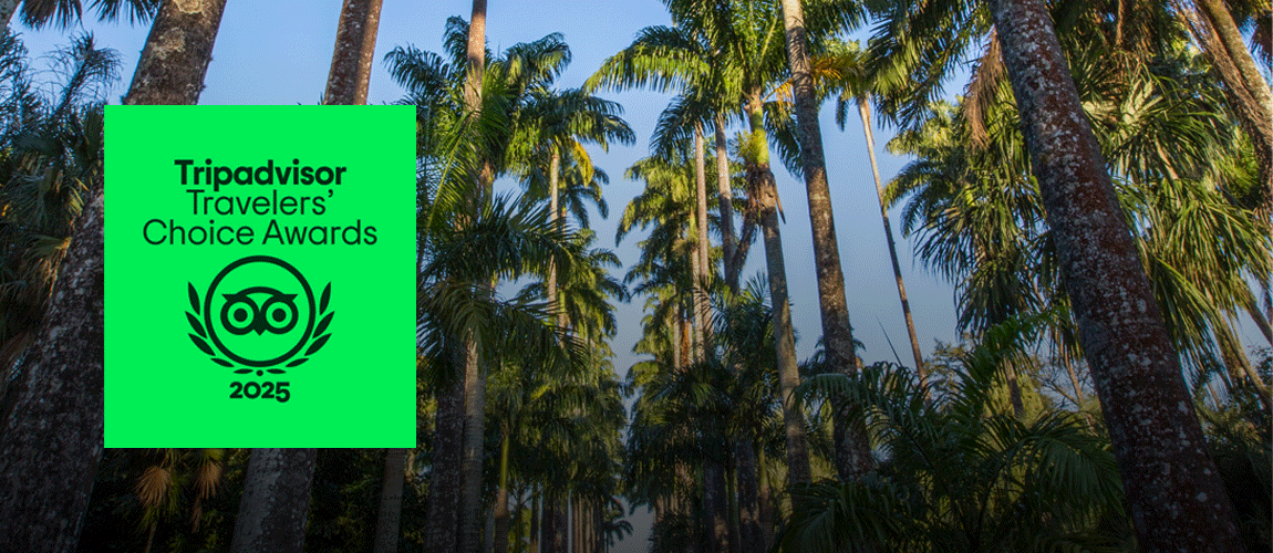 Link para tripadvisor